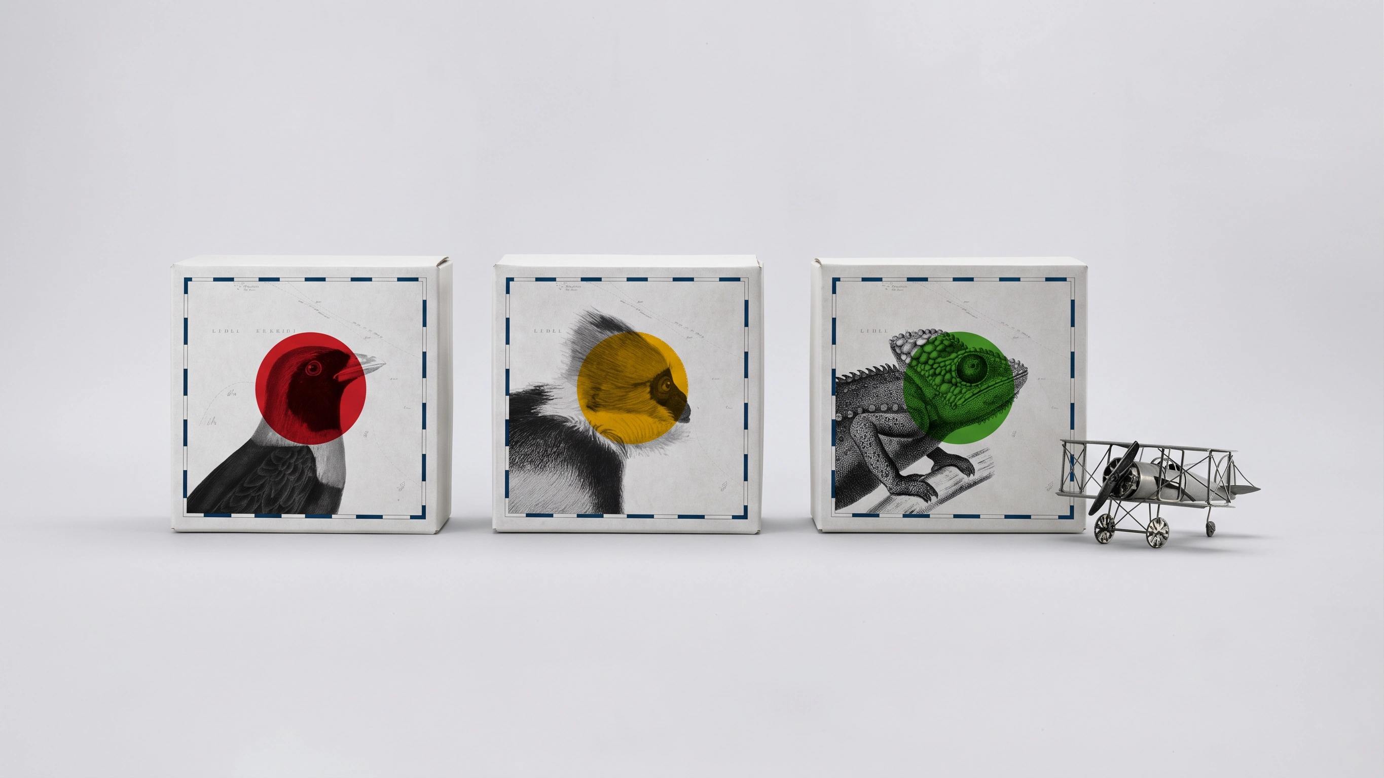 Herbin, trois boîtes aux gravures d’animaux et leur disque de couleur